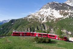 IMG_7619 (Large) (Small)