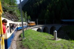 IMG_7755 (Large) (Small)