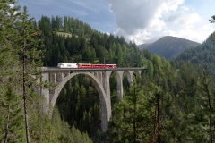 IMG_8272 (Large) (Small)