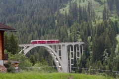 IMG_9006 (Large) (Small)