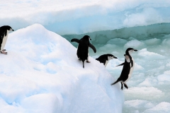 03_Maerz_IMG_3082 (Small)