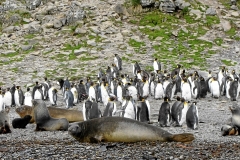 04Apr_IMG_9678 (Small)