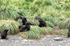 05Mai_IMG_9512 (Small)