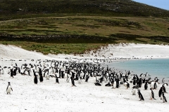 07Jul_IMG_9436 (Small)