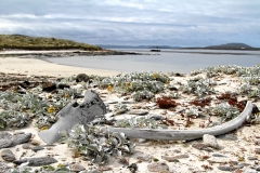 08Aug_IMG_0324 (Small)