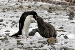 09Sep_IMG_4194 (Small)