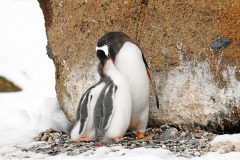 10Oct_IMG_4046 (Small)