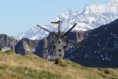 06_Juni_IMG_8453 (Large) (Small)