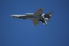 08_Aug_IMG_7203 (Large) (Small)