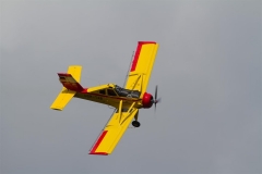 IMG_3831 (Large) (Small)