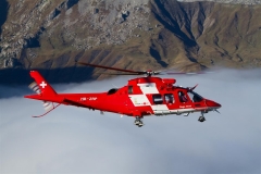 IMG_6911 (Large) (Small)