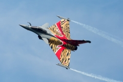 276A2833 (Large) (Small)