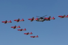 276A6324 (Large) (Small)