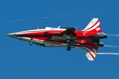 IMG_6064 (Large) (Small)