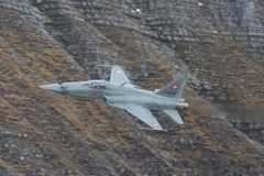 11_276A3612_169 (Small)