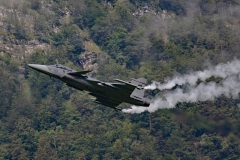 Gripen