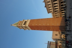 IMG_1121 (Large)