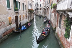 IMG_1539 (Large)